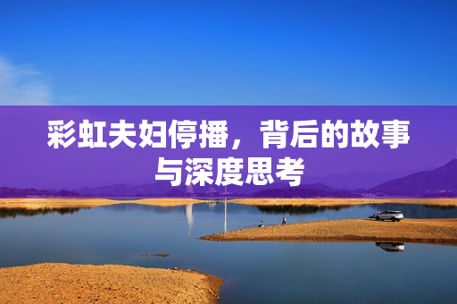 彩虹夫妇停播，背后的故事与深度思考