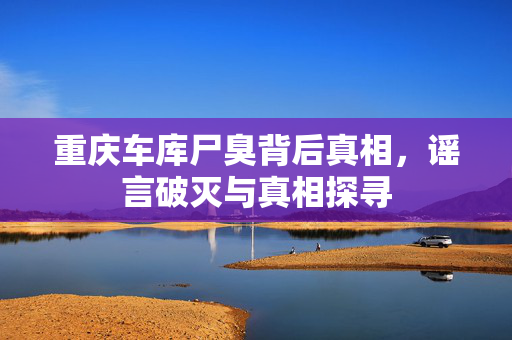 重庆车库尸臭背后真相，谣言破灭与真相探寻
