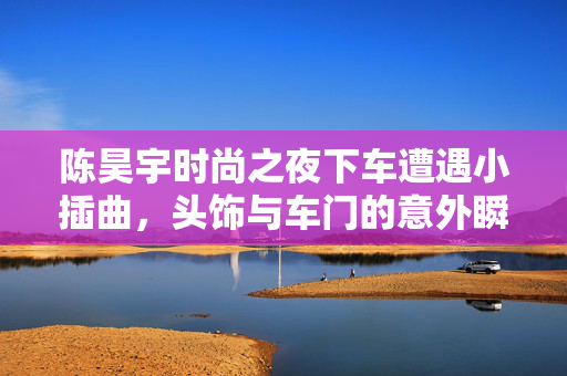 陈昊宇时尚之夜下车遭遇小插曲，头饰与车门的意外瞬间