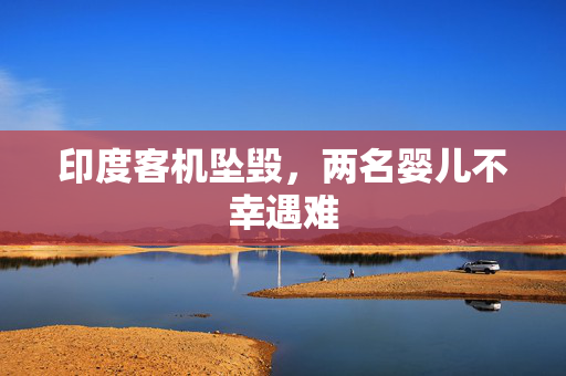 印度客机坠毁，两名婴儿不幸遇难