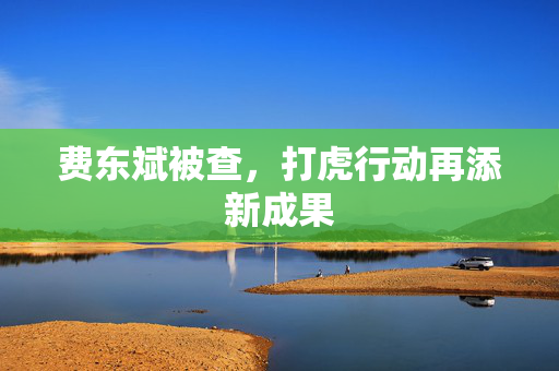 费东斌被查，打虎行动再添新成果