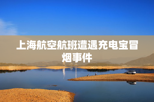 上海航空航班遭遇充电宝冒烟事件