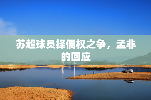 苏超球员择偶权之争，孟非的回应