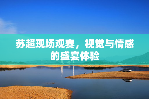 苏超现场观赛，视觉与情感的盛宴体验