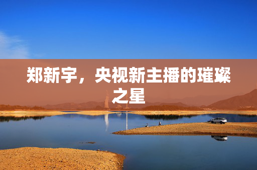 郑新宇，央视新主播的璀璨之星