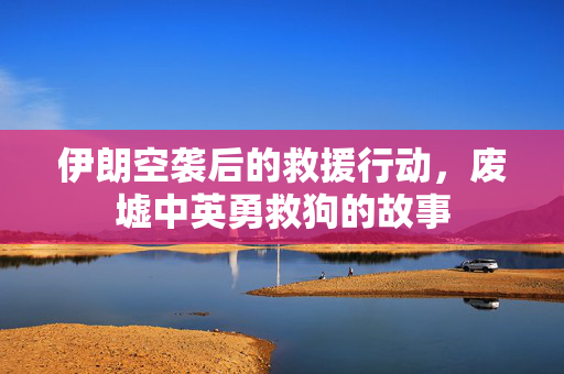 伊朗空袭后的救援行动，废墟中英勇救狗的故事