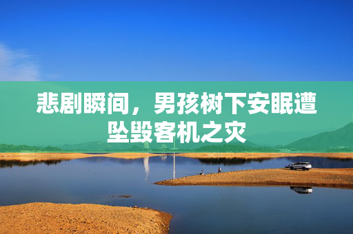 悲剧瞬间，男孩树下安眠遭坠毁客机之灾