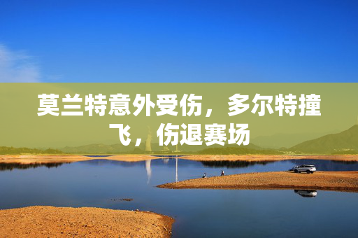 莫兰特意外受伤，多尔特撞飞，伤退赛场