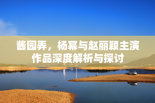酱园弄，杨幂与赵丽颖主演作品深度解析与探讨