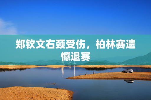 郑钦文右颈受伤，柏林赛遗憾退赛