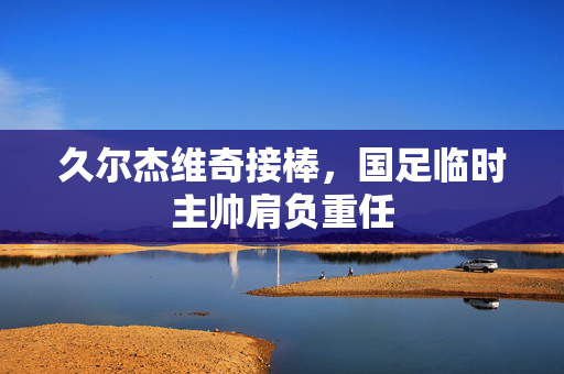久尔杰维奇接棒，国足临时主帅肩负重任