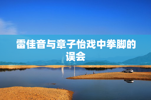 雷佳音与章子怡戏中拳脚的误会