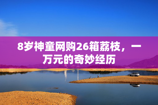 8岁神童网购26箱荔枝，一万元的奇妙经历