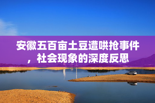 安徽五百亩土豆遭哄抢事件，社会现象的深度反思