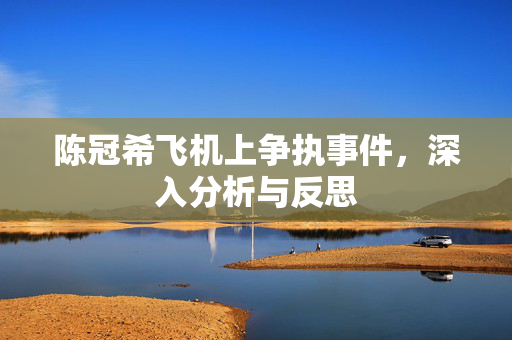 陈冠希飞机上争执事件，深入分析与反思