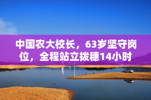 中国农大校长，63岁坚守岗位，全程站立拨穗14小时的奉献精神