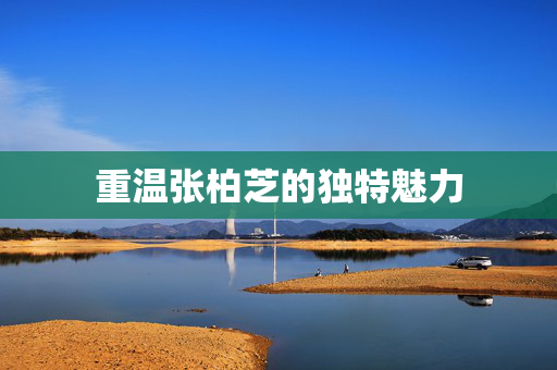 重温张柏芝的独特魅力