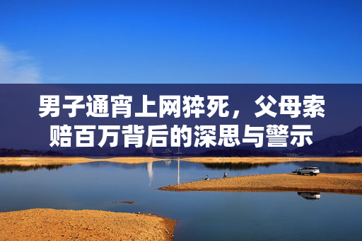 男子通宵上网猝死，父母索赔百万背后的深思与警示