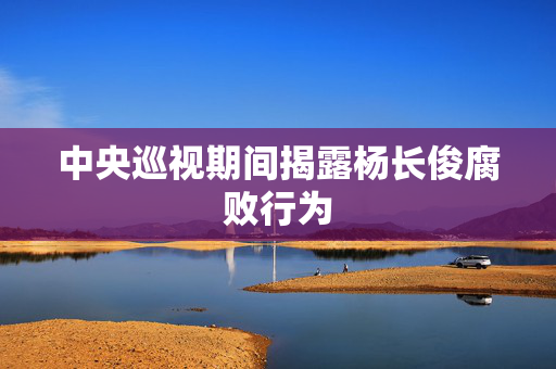 中央巡视期间揭露杨长俊腐败行为