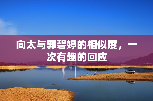 向太与郭碧婷的相似度，一次有趣的回应