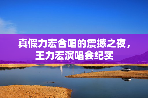 真假力宏合唱的震撼之夜，王力宏演唱会纪实