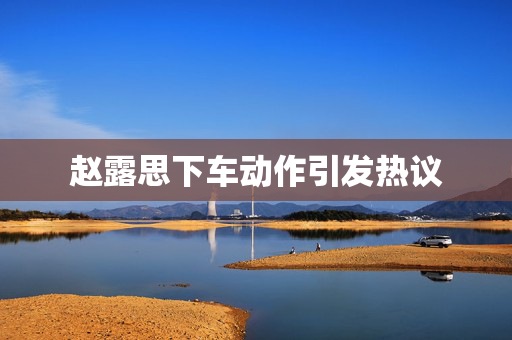 赵露思下车动作引发热议