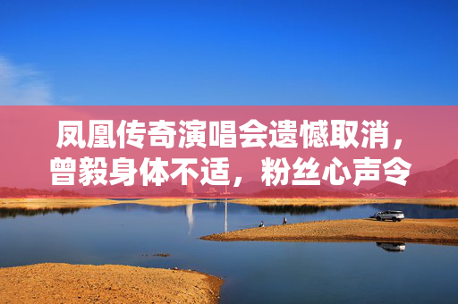 凤凰传奇演唱会遗憾取消，曾毅身体不适，粉丝心声令人动容