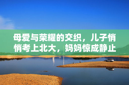 母爱与荣耀的交织，儿子悄悄考上北大，妈妈惊成静止画面