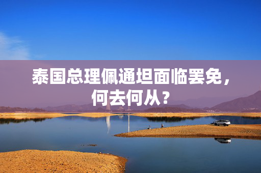 泰国总理佩通坦面临罢免，何去何从？