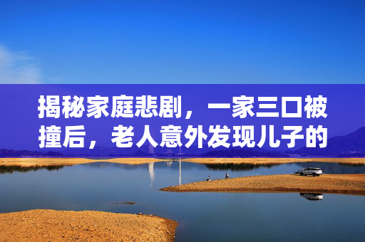 揭秘家庭悲剧，一家三口被撞后，老人意外发现儿子的秘密