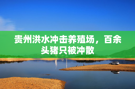 贵州洪水冲击养殖场，百余头猪只被冲散