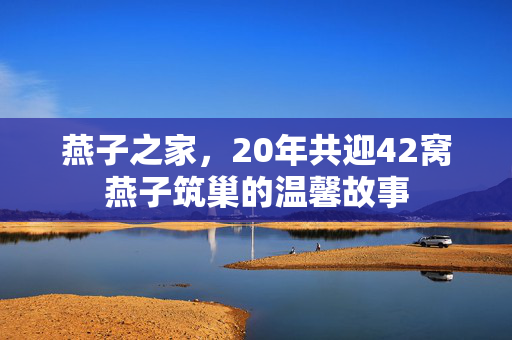 燕子之家，20年共迎42窝燕子筑巢的温馨故事