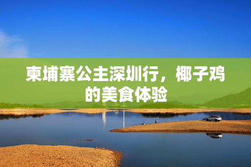 柬埔寨公主深圳行，椰子鸡的美食体验