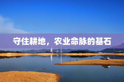 守住耕地，农业命脉的基石