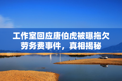 工作室回应唐伯虎被曝拖欠劳务费事件，真相揭秘