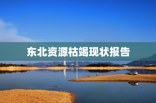 东北资源枯竭现状报告