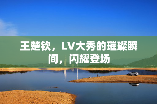 王楚钦，LV大秀的璀璨瞬间，闪耀登场