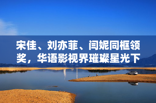 宋佳、刘亦菲、闫妮同框领奖，华语影视界璀璨星光下的盛景