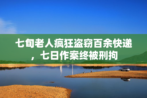 七旬老人疯狂盗窃百余快递，七日作案终被刑拘