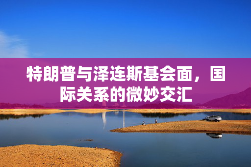特朗普与泽连斯基会面，国际关系的微妙交汇