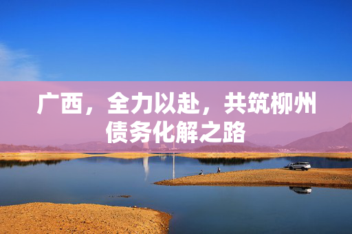 广西，全力以赴，共筑柳州债务化解之路