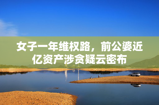 女子一年维权路，前公婆近亿资产涉贪疑云密布