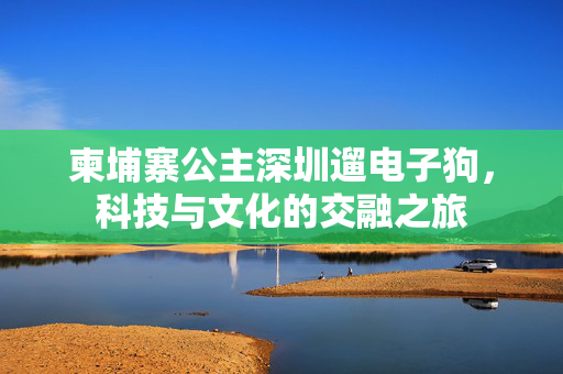 柬埔寨公主深圳遛电子狗，科技与文化的交融之旅