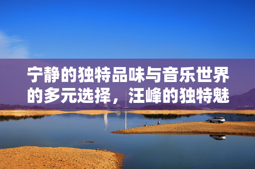 宁静的独特品味与音乐世界的多元选择，汪峰的独特魅力未获宁静青睐
