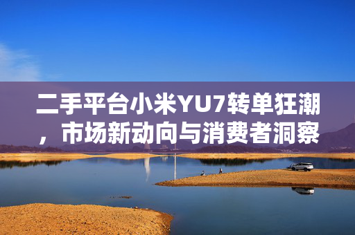 二手平台小米YU7转单狂潮，市场新动向与消费者洞察分析