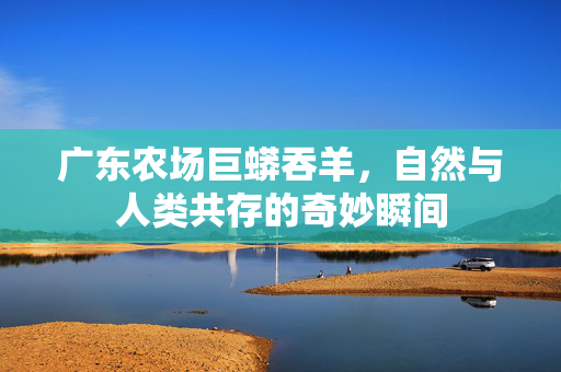 广东农场巨蟒吞羊，自然与人类共存的奇妙瞬间