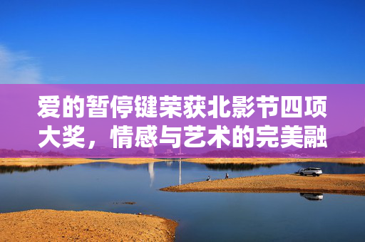爱的暂停键荣获北影节四项大奖，情感与艺术的完美融合