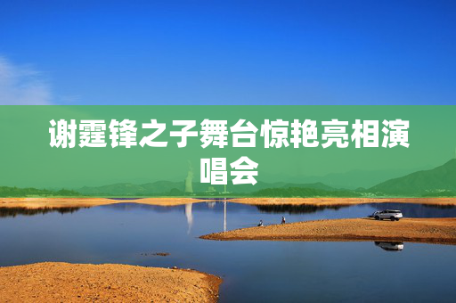 谢霆锋之子舞台惊艳亮相演唱会