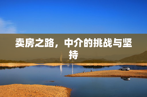 卖房之路，中介的挑战与坚持
