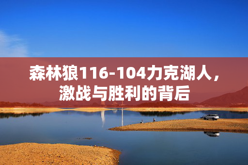 森林狼116-104力克湖人，激战与胜利的背后